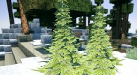 Мод для Minecraft 1.4.6  — Новогодние 3D модели (Елка и игрушки)
